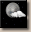 Saturday Night: Mostly Clear